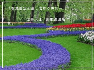 『智慧由定而生，若能心專念一， 從事入理，即能產生智慧』 