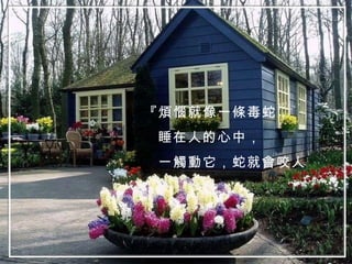 『煩惱就像一條毒蛇， 睡在人的心中， 一觸動它，蛇就會咬人』 