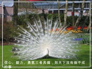 信心、毅力、勇氣三者具備，則天下沒有做不成的事 