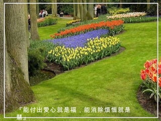 『能付出愛心就是福，能消除煩惱就是慧』 