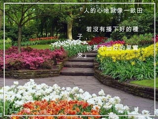 『人的心地就像一畝田， 若沒有播下好的種子， 也長不出好的果實來』 