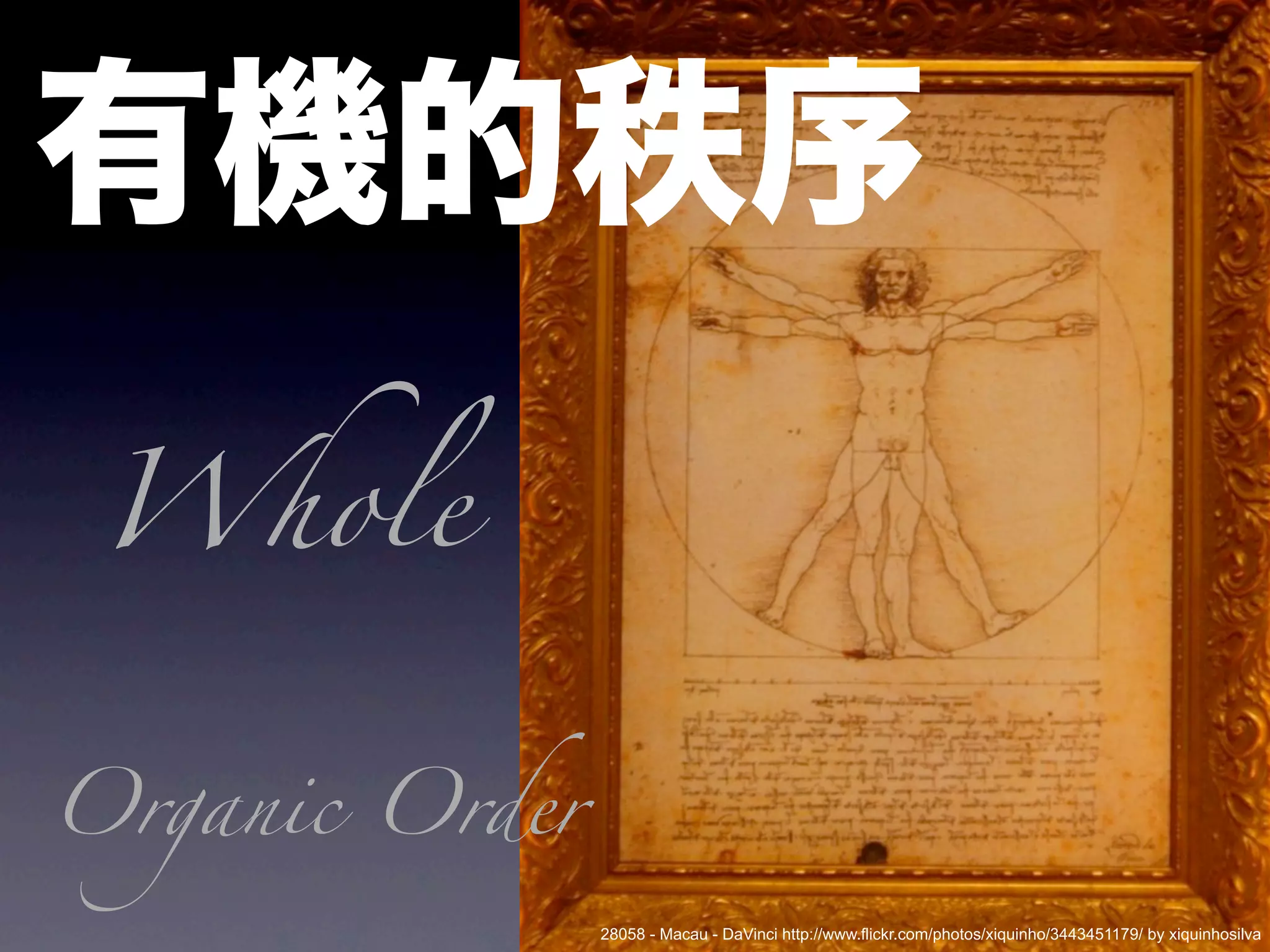 Whole


Organic Order
                28058 - Macau - DaVinci http://www.flickr.com/photos/xiquinho/3443451179/ by xiquinhosilva
 