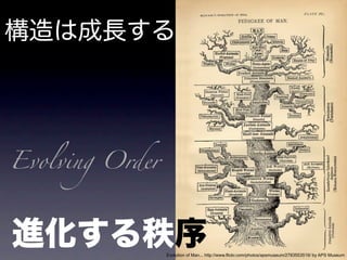 Evolving Order




                 Evolution of Man... http://www.flickr.com/photos/apsmuseum/2783553519/ by APS Museum
 