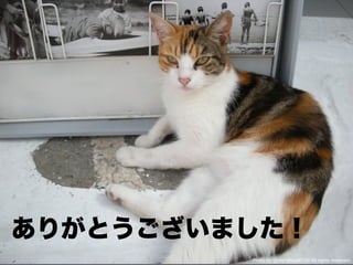 Photo by @digitalsoul0124 All rights reserved.
 