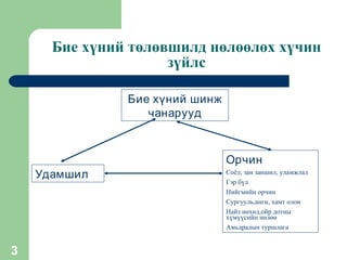 Бие хүний төлөвшилд нөлөөлөх хүчин зүйлс Бие хүний шинж чанарууд Орчин Соёл, зан заншил, уламжлал Гэр бүл Нийгмийн орчин Сургууль,анги, хамт олон Найз нөхөд,ойр дотны хүмүүсийн нөлөө   Амьдралын туршлага Удамшил   