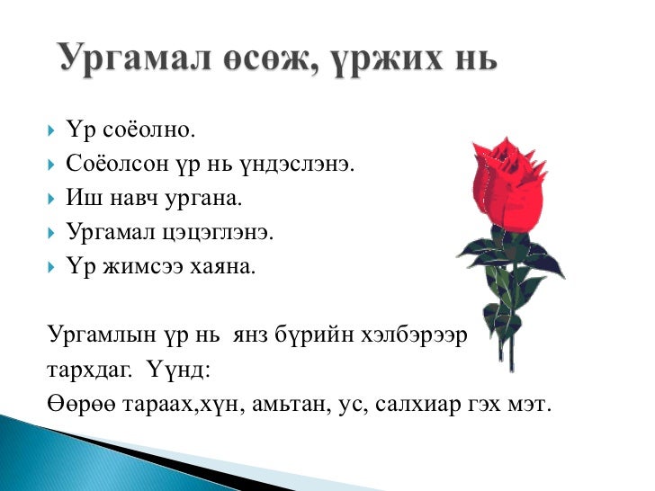 амьд бие