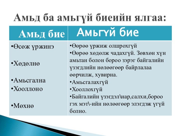 амьд бие