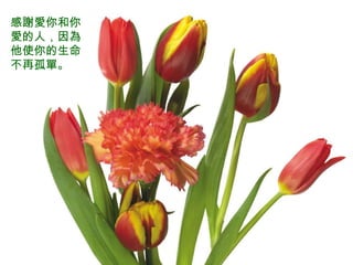 感謝愛你和你愛的人，因為他使你的生命不再孤單。 