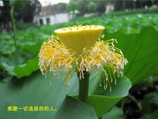 感謝一切造就你的人。 