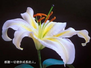 感謝一切使你成長的人。 