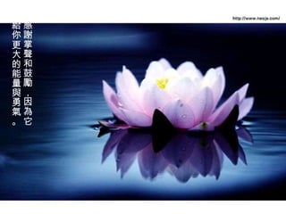 感謝掌聲和鼓勵，因為它給你更大的能量與勇氣。  