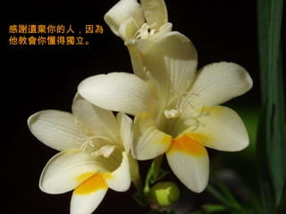 感謝遺棄你的人，因為他教會你懂得獨立。  