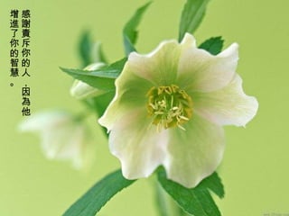 感謝責斥你的人，因為他增進了你的智慧。 