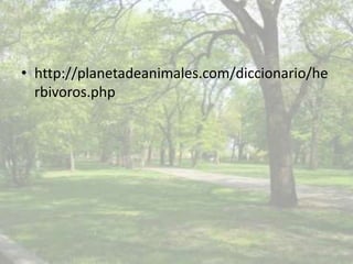 • http://planetadeanimales.com/diccionario/he
  rbivoros.php
 