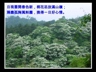 日現雲開春色新，桐花恣放滿山嶺；
滌盡孤胸萬斛塵，換得一日好心情。
 
