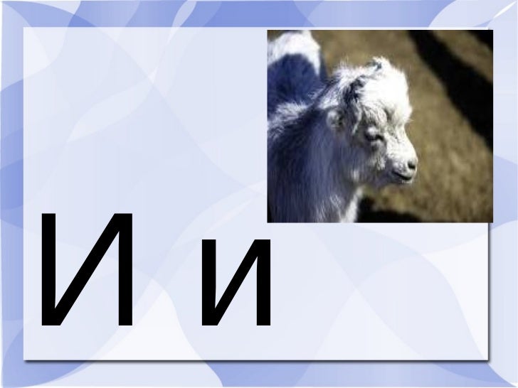 эгшиг