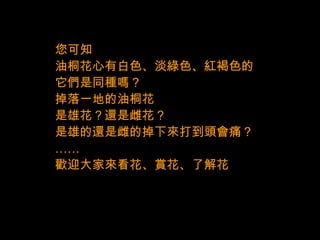 您可知
油桐花心有白色、淡綠色、紅褐色的
它們是同種嗎？
掉落一地的油桐花
是雄花？還是雌花？
是雄的還是雌的掉下來打到頭會痛？
……
歡迎大家來看花、賞花、了解花
 