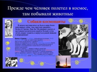 Презентация о космосе