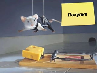 Покупка 