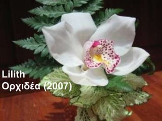 Lilith Ορχιδέα   ( 2007 ) 