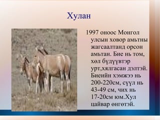 ан амьтан хэр оюунцэцэг | PPT