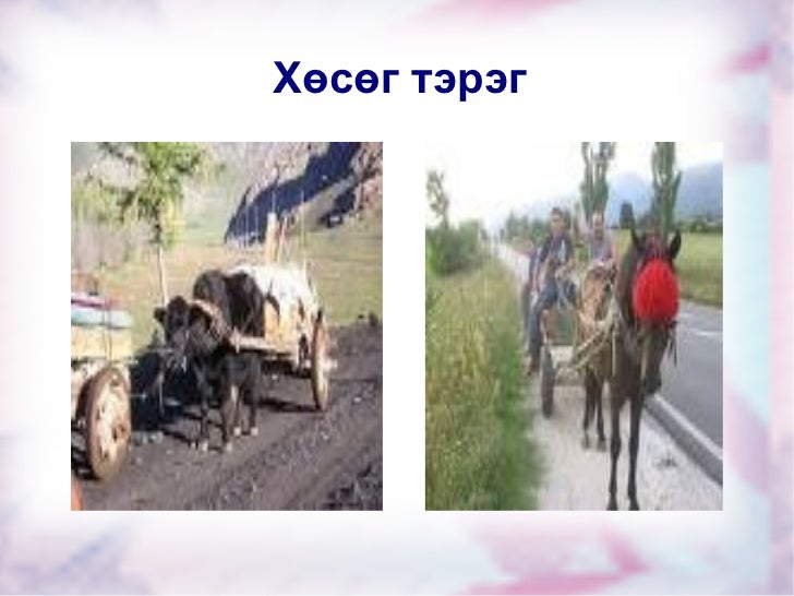 хэр н тээврийн хэрэгсэл оюунцэцэг