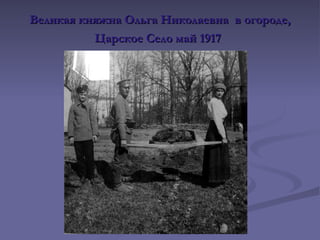 Великая княжна Ольга Николаевна  в огороде, Царское Село май 1917   