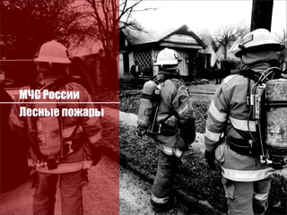 МЧС России
Лесные пожары
 