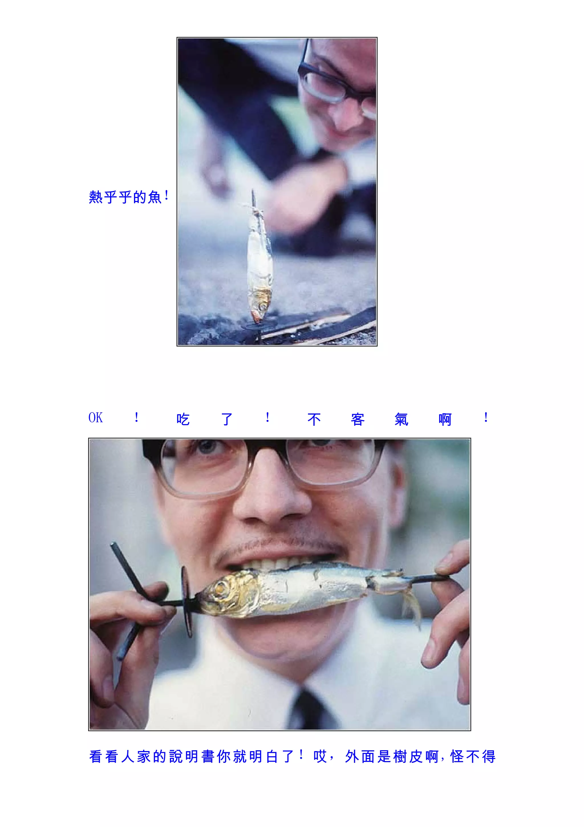 熱乎乎的魚！




OK   ！   吃   了   ！   不   客   氣   啊   ！




看看人家的說明書你就明白了 ！ 哎 ， 外面是樹皮啊 , 怪不得
 