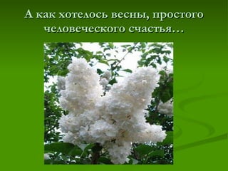 А как хотелось весны, простого человеческого счастья… 