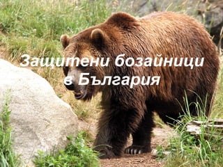 Защитени бозайници в България 
