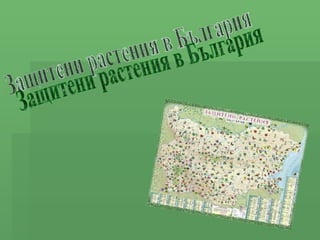 Защитени растения в България 