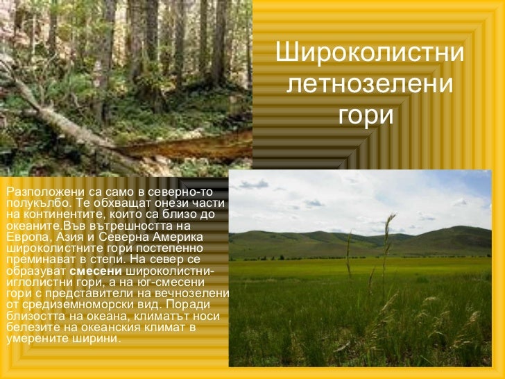 широколистни гори димо бараков
