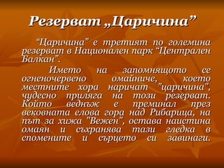 Резерват „Царичина” “ Царичина” е третият по големина резерват в Национален парк “Централен Балкан”.       Името на запомнящото се огненочервено омайниче, което местните хора наричат "царичина", чудесно приляга на този резерват. Който веднъж е преминал през вековната елова гора над Рибарица, на път за хижа "Вежен", остава наистина омаян и съхранява тази гледка в спомените и сърцето си завинаги. 