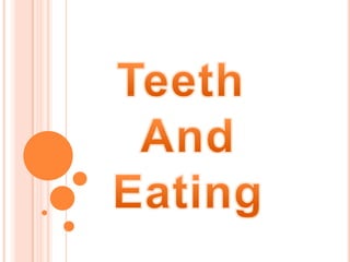 Teeth  And Eating 