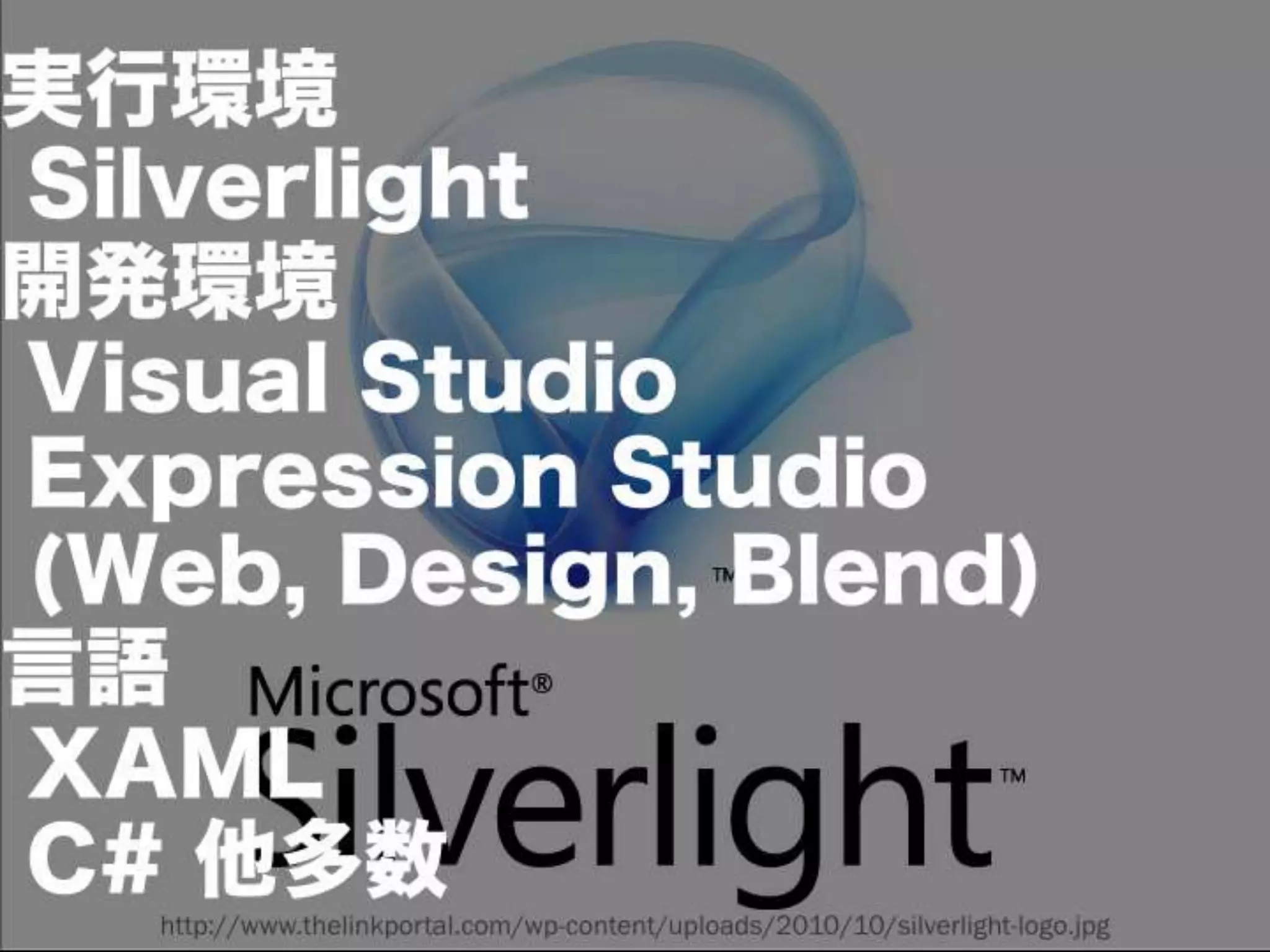[DevLOVE]これからのRIAの話をしよう(縦サミ版)