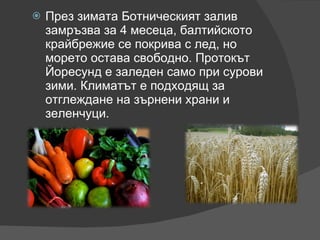 През зимата Ботническият залив замръзва за 4 месеца, балтийското крайбрежие се покрива с лед, но морето остава свободно. Протокът Йоресунд е заледен само при сурови зими. Климатът е подходящ за отглеждане на зърнени храни и зеленчуци. 