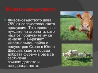 Животновъдството Животновъдството дава 75% от селскостопанската продукция. То задоволява нуждите на страната, като част от продуктите му се изнасят. Най-развит животновъден район с полуостров Сконе в Южна Швеция, където поради добрата фуражна база са застъпени свиневъдството и говедовъдството. 