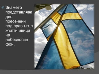 Знамето представлява две пресечени под прав ъгъл жълти ивици на небесносин фон. 