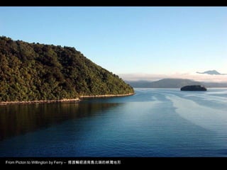 From Picton to Willington by Ferry –  搭渡輪經過南島北端的峽灣地形 