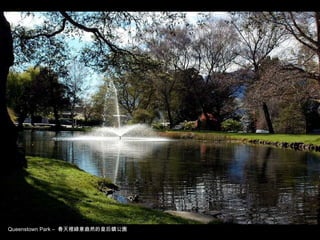 Queenstown Park –  春天裡綠意盎然的皇后鎮公園 
