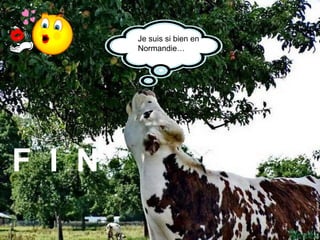 Je suis si bien en Normandie… F  I  N 