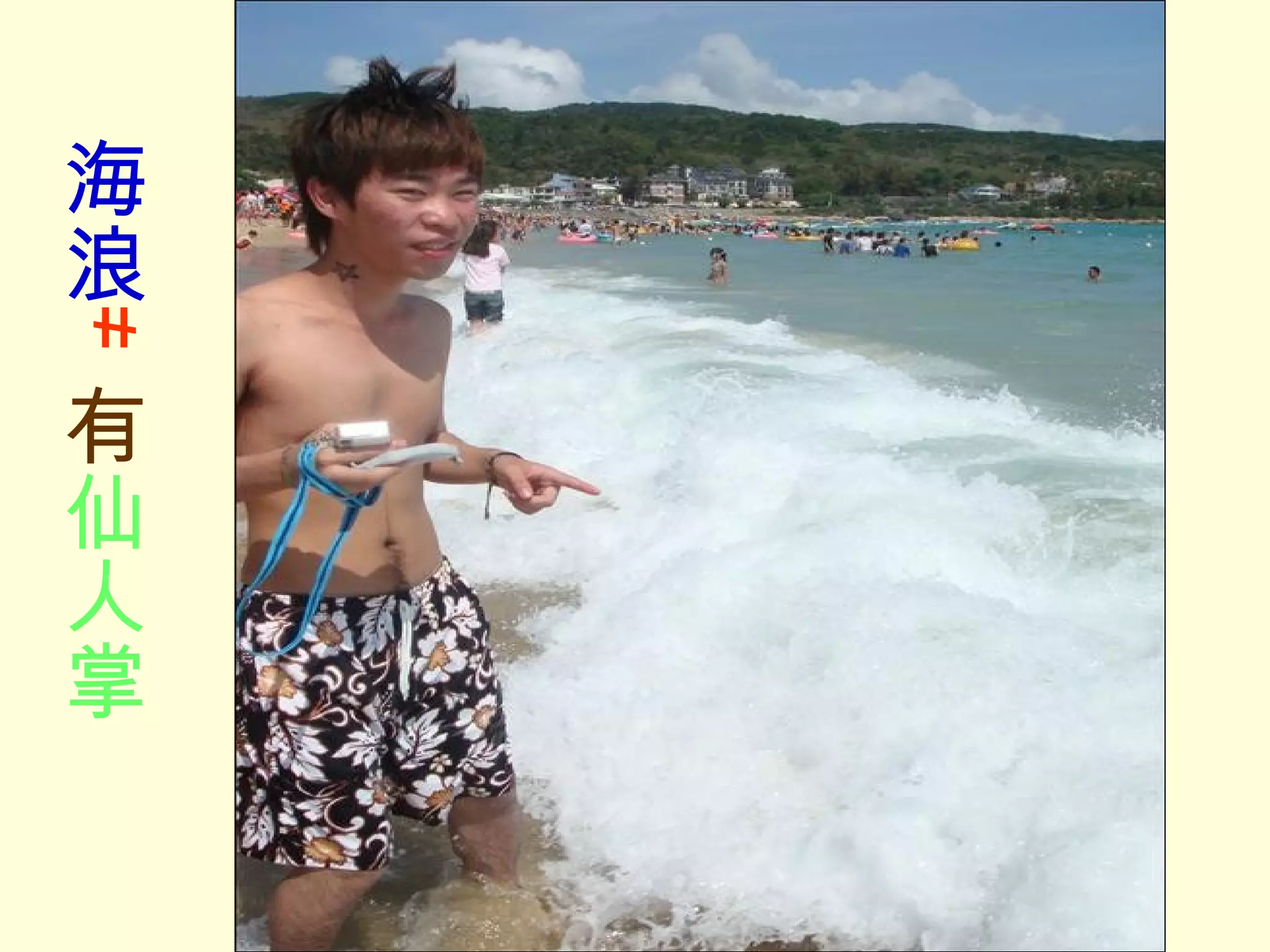 海浪 ≠ 有 仙人掌　　　 