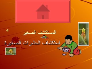 المستكشف الصغير استكشاف الحشرات الصغيرة