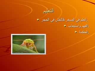 التعليم العلم في الصغر كالنقش في الحجر . الفهم واستيعاب . الحكمة .