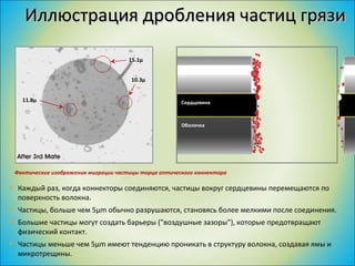 Иллюстрация дробления частиц грязи Каждый раз, когда коннекторы соединяются, частицы вокруг сердцевины перемещаются по поверхность волокна. Частицы, больше чем 5µm обычно разрушаются, становясь более мелкими после соединения. Большие частицы могут создать барьеры ("воздушные зазоры"), которые предотвращают физический контакт.  Частицы меньше чем 5µm имеют тенденцию проникать в структуру волокна, создавая ямы и микротрещины. Фактические изображения миграции частицы торца оптического коннектора Сердцевина Оболочка 11.8µ 15.1µ 10.3µ 
