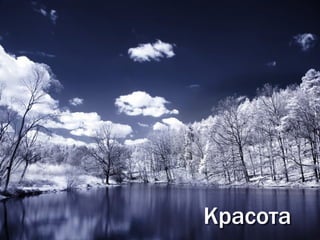 Красота
 