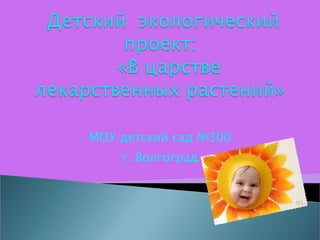 МОУ детский сад №300 г. Волгоград 