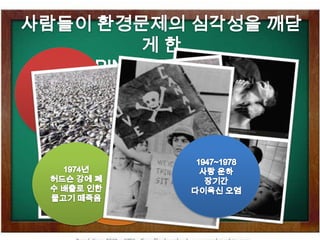 그래서 많은 서약/정책들이 만들어졌지미국 1990년대 the Noise Control Act, the Clean Air Act, the Clean Water Act, the National Environmental Policy Act.세계 여러 나라에서 DDT 사용 금지령영국 The Clean Air Act of 1956.