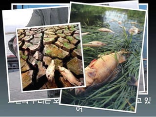 그런데우리는 오히려 그런 지구를 홀대하고 있어